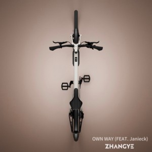 Own Way (feat. Janieck)
