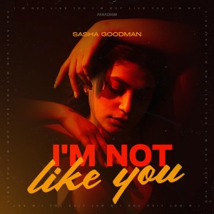 I'm Not Like You - Extended Mix