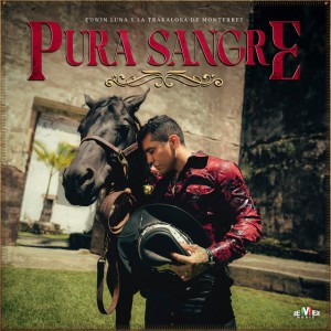 Fíjate Que Sí - Mariachi