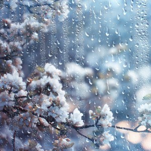 Blossom - Orchestral Version