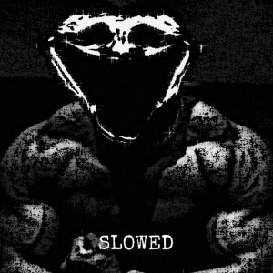 POSING (SLOWED)