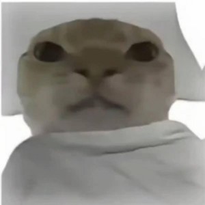 Wake Up Hajimi - 哈基米起床