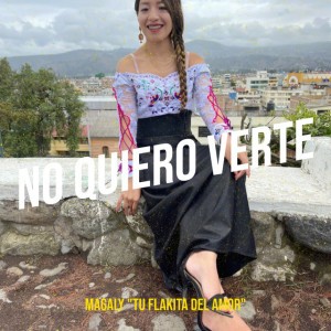 No Quiero Verte