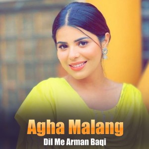 Dil Me Arman Baqi