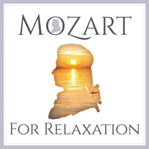 Serenade in B-Flat Major, K. 361 "Gran Partita": III. Adagio