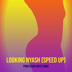 Looking Nyash - Speed Up