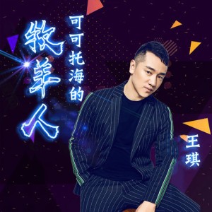 可可托海的牧羊人 (DJ沈念版)