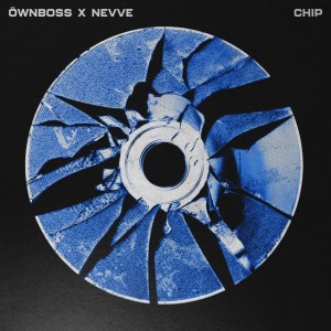 Chip