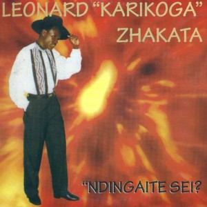 Ndozivei Zvangu