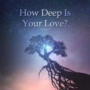 How Deep Is Your Love? (TikTok Mashup) - Remix