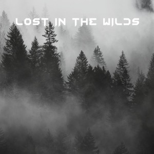 Lost in the Wilds