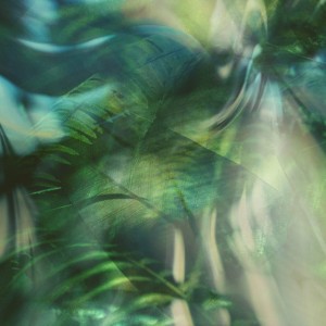 Wellspring