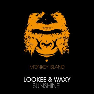 Sunshine - Radio Edit by Lookee & Waxy