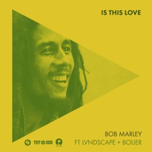 Is This Love (remix)