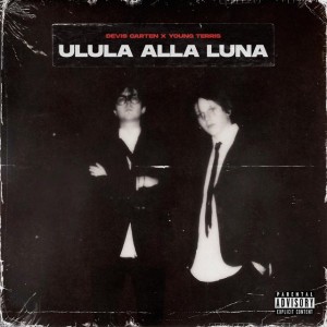 Ulula alla luna