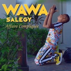 Affaire compliquée by Wawa Salegy