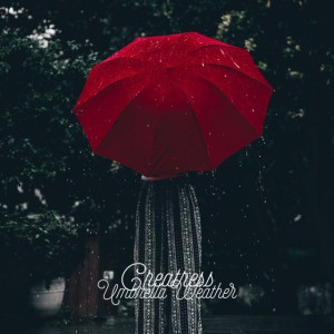 Steady Forest Rain