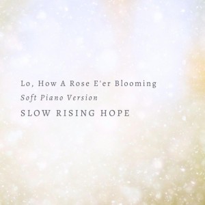 Lo, How A Rose E'er Blooming - Soft Piano