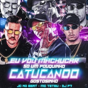 Se Não Quiser Eu Tô Voltando pro Bailão X Catucando Gostosinho