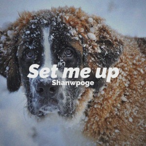 Set Me Up