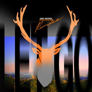 Let Go - Slowed in a echo chamber