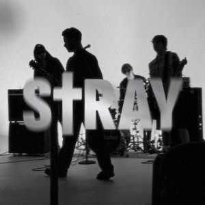 Stray
