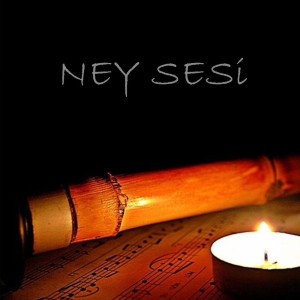 Fikrimin İnce Gülü
