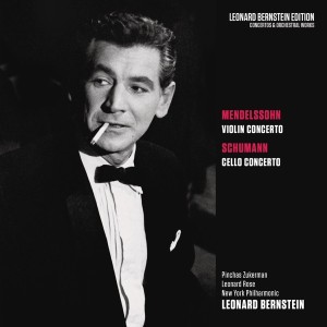 Violin Concerto in E Minor, Op. 64: I. Allegro molto appassionato