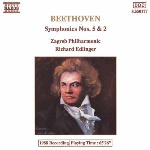 Symphony No. 5 in C Minor, Op. 67: II. Andante Con Moto
