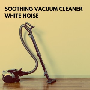 Soothing Vacuum Cleaner Pt. 9
