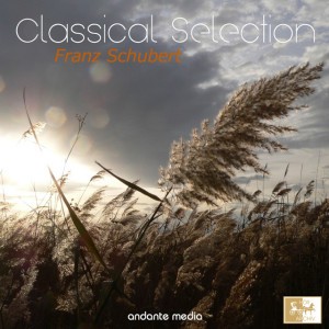 Symphony No. 8 in B Minor, D. 759 "Unfinished": II. Andante con moto