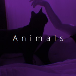 Animals - Speed