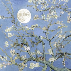 moonboy by JVKE & JEON SOMI