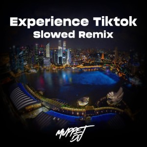 Experience Tiktok - Slowed - Remix