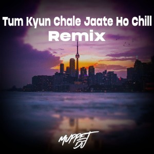 Tum Kyun Chale Jaate Ho Chill - Remix