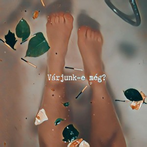 Várjunk-e még?