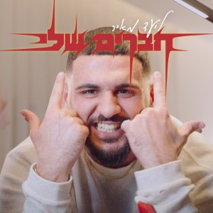 חברים שלי by Liad Meir