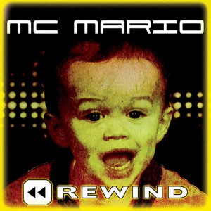 Here Comes The Hotstepper (LP Version)