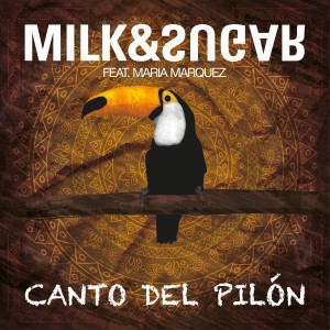 Canto del Pilón - Original Mix
