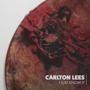 Don't Be Shy by Carlton Lees