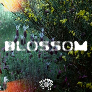 Pollen