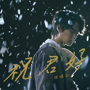 Wish You Well (Theme from TV Drama "a Love of No Words")