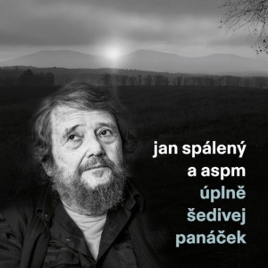 Strakatý kotě pozdě k ránu