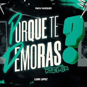 Porque Te Demoras - Remix