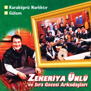 Zeytin Yaprağı Yeşil