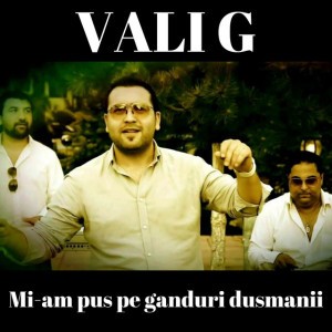 Mi-am pus pe ganduri dusmanii