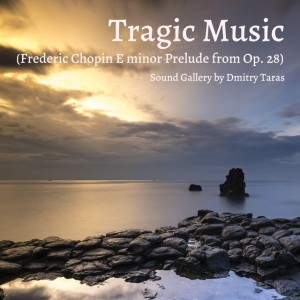Preludes No. 4 in E Minor, Op. 28: Largo