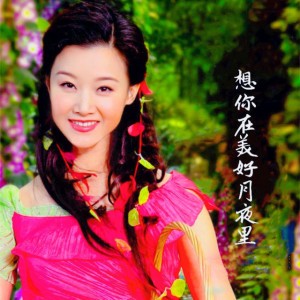 想你在美好月夜里 - 现场版