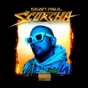 Light My Fire (feat. Gwen Stefani & Shenseea) by Shenseea & Gwen Stefani & Sean Paul