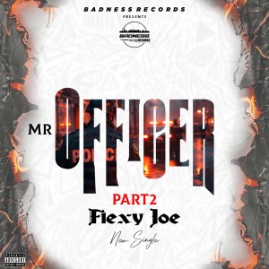 MR OFFICER (PART2)